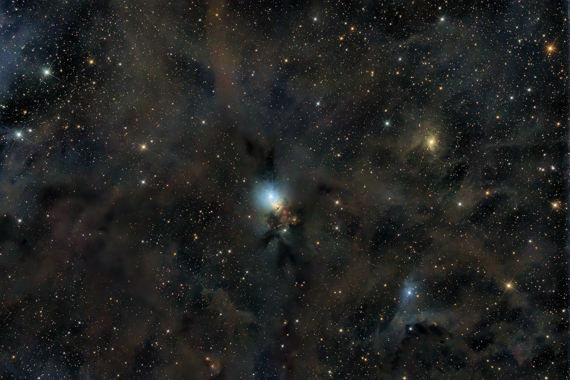 A reflection nebula in the constellation Perseus, the Embryo Nebula NGC 1333 is a vast star-forming region of young stars less than a million years old.